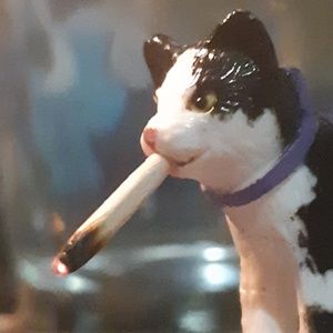 Meet your Posher, Kaylee